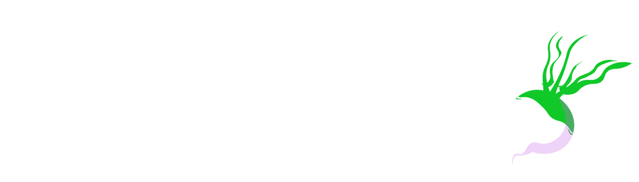 turnipp.com - restaurantes cerca de mi